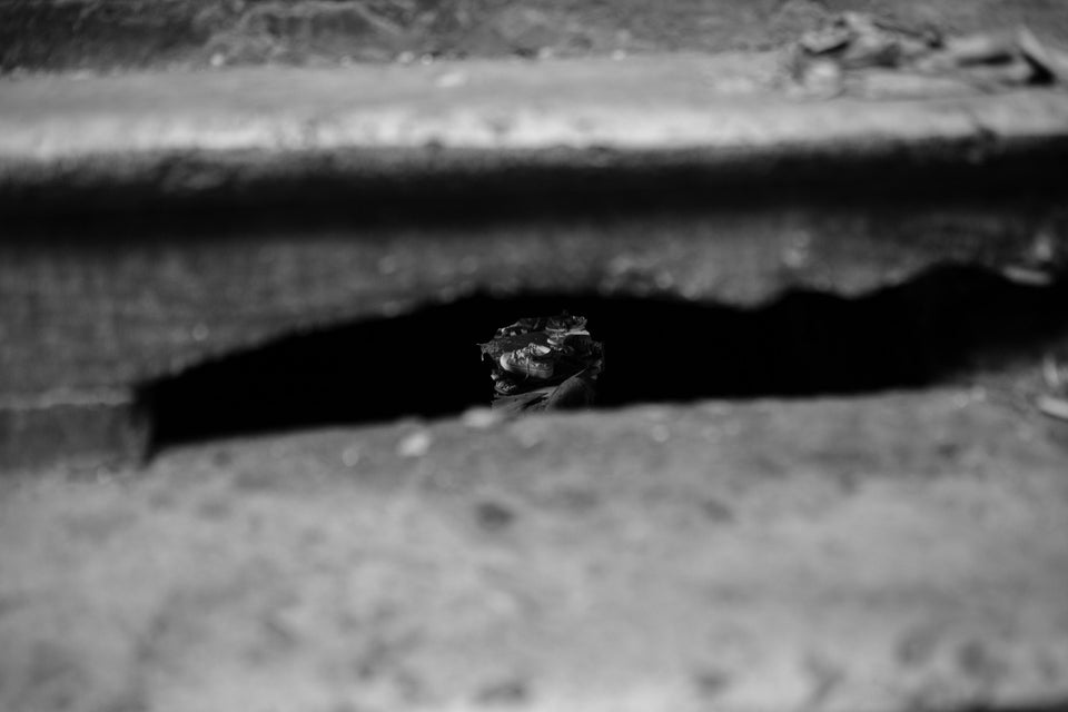 The Gap