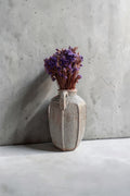 Handmade Two-Handled Ceramic Vase, Rustic Amphora Decorative Vase