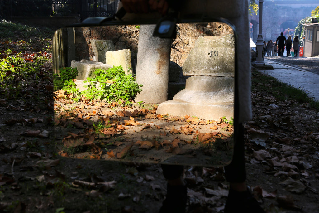 Stones and Leaves