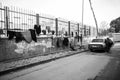 Iron Railings