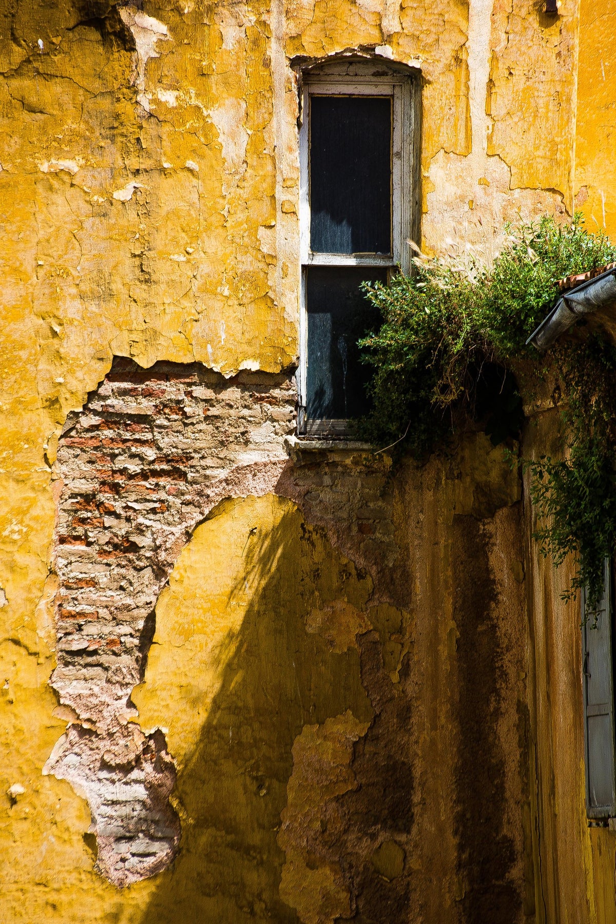 Peeling Yellow